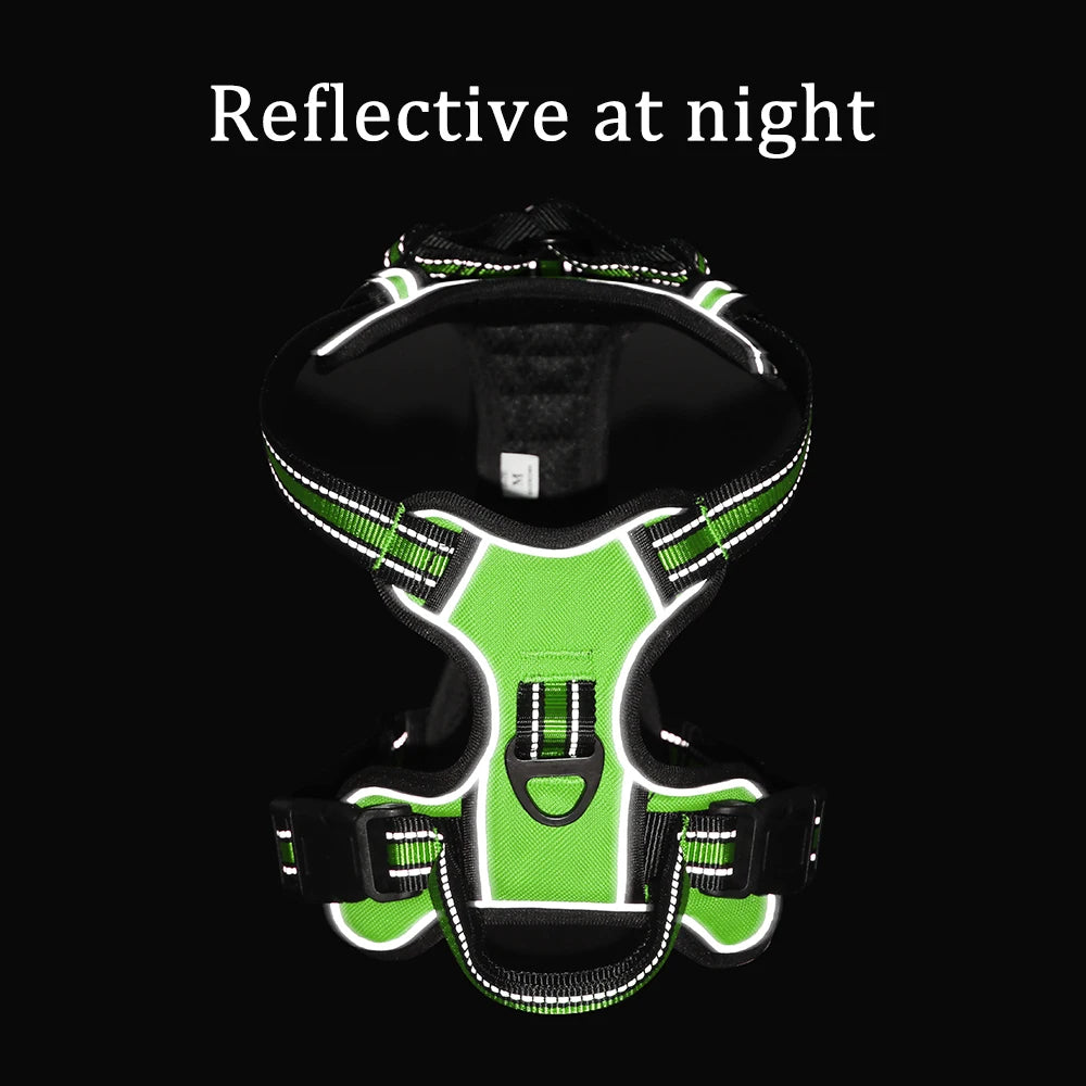 Nylon Adjustable Dog Harness